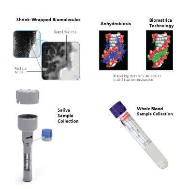 Novel Stabilisation and Protection of Biological Materials at Room Temperatures
