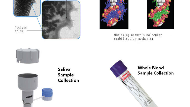 Novel Stabilisation and Protection of Biological Materials at Room Temperatures