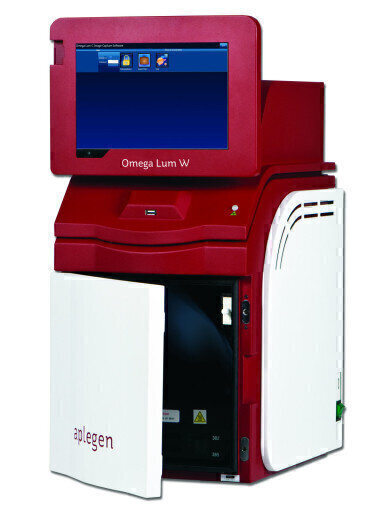 A New Perspective on Western Blot Imaging
