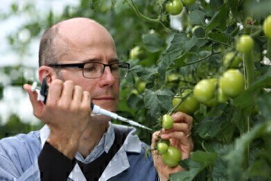 Fungicide Technology Could Help Prevent Crop Failures
