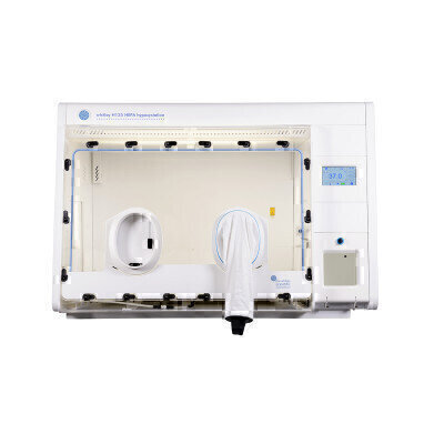 Fully Automated O2 Calibration System Launched
