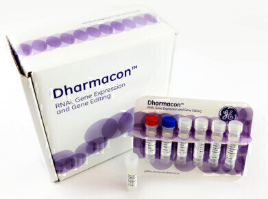 New CRISPR-Cas9 Gene Engineering Products Launched
