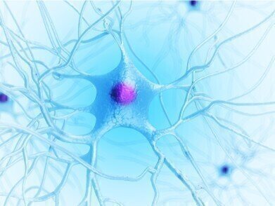 Protein Delivery Reagent Assists Neurodegeneration Research
