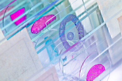 Ultimate Control for Immunohistochemistry and in situ Hybridisation??
