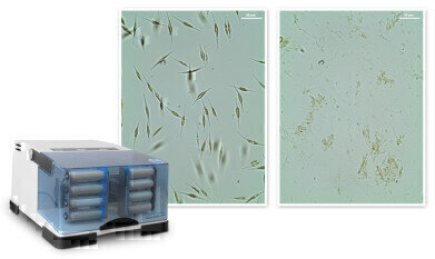 Mixer Mill provides Rapid and Efficient Cell Disruption
