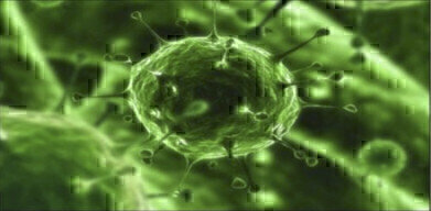 First Zika Virus Antigens Launched
