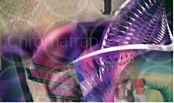 Simple and Efficient Protocol for Native Chromatin Immunoprecipitation 
