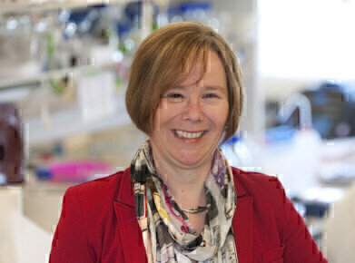 Antibiotic Resistance: Helping the Battle Against Disease
