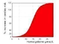 New Enzymatic Assay is Launched.