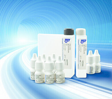 New Turbidimetric Faecal Calprotectin Assay Available
