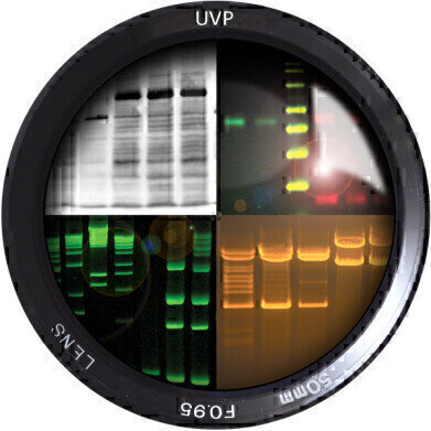 Capture Western Blots and More with the New ChemiDoc-ItTS3 Imager
