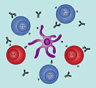 TIGIT Receptor Products for Immunotherapy Research
