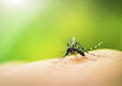 Zika Virus Proteins with Chikungunya and Dengue Virus Antigens for the first Tri-Plex Offered
