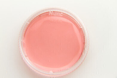 Thermo Scientific Nunc EasYDish
