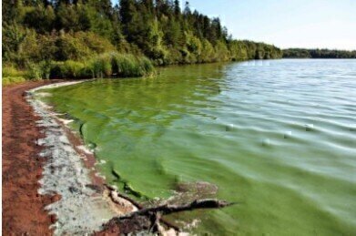 New Evaporative Technique Improves Environmental Sample Preparation
