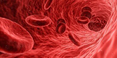 Could Resetting Blood Proteins Slow Ageing?
