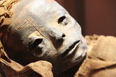 Gas Chromatography Reveals the Owner of Ancient Mummified Legs