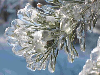 ‘Arctic Blast’ yields better Lyophilisation results