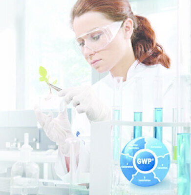 Passing the Audit Risk-Based Process Verification with Good Weighing PracticeTM