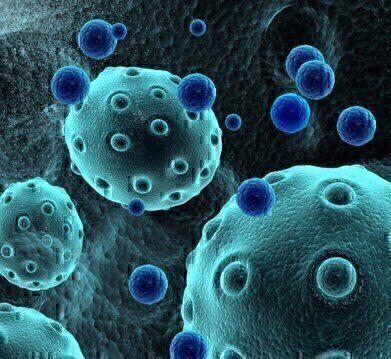 Purified Cancer Exosome Samples