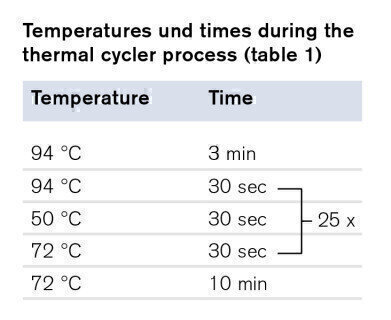 Brand PCR plates and PCR sealing films - a perfectly adjusted system