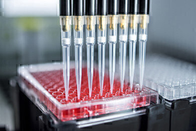 New Range of Clear Disposable Tips Launched