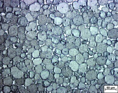 Heavy Metal on a Tungsten Basis with High Radiation Absorption Capacity Offers an Ecological Alternative to Toxic Lead