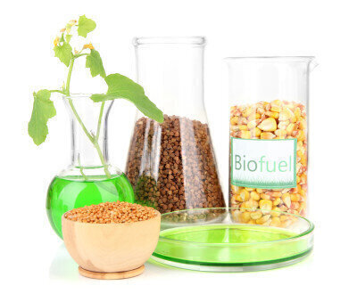 Unifying the Biofuels Industry 