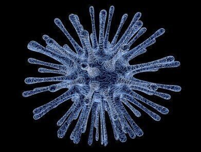 What's the Difference Between RNA and DNA?