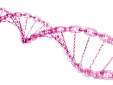 High Throughput PARP Screening Assay