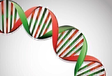 High Throughput Gene Expression Analysis Service  