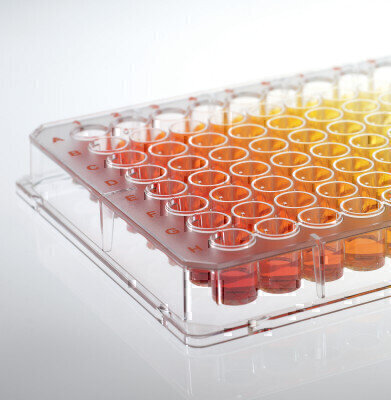 Proliferation of HepG2 cells on BRANDplates<sup>® </sup>cellGrade™ plus surface
