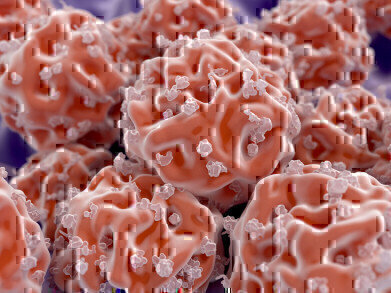 Cell Culture Medium for Clinical Research