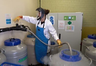 Liquid Nitrogen Technology Aids Quest for Healthy Oceans