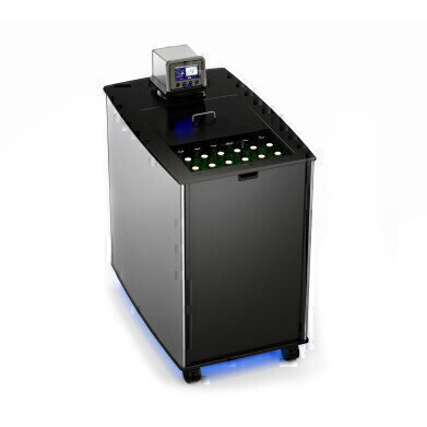 Optimising Bottled Beverage Shelf-life Using Accelerated Ageing Studies