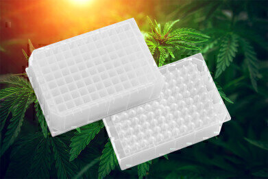 Preparing Samples of Cannabis Plant for THC/CBD Analysis  