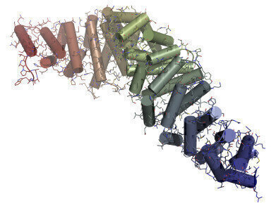 Expanded Wnt Signalling Pathway Product Portfolio Announced