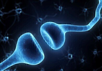 Real-time Biochemistry of Living Cells and Whole Organisms