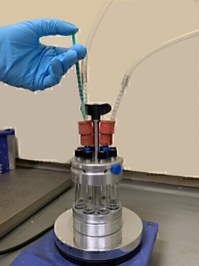 Biocatalytic Hydrogenation Optimisation