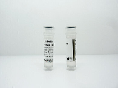 New Rubella Virus-Like Particles Released