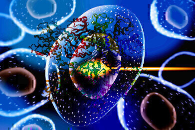 Fast and Efficient Protein Extraction Kit