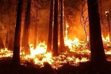 How Far Does Wildfire Pollution Spread?