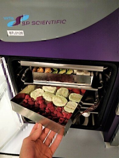 How Freeze Drying in Food Processing is Enabling Greater Efficiency and Superior Results