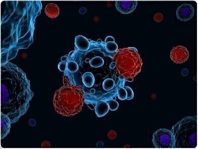 Custom CAR-T Constructs Service Announced