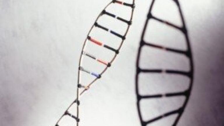 Synthetic sgRNAs to Streamline CRISPR Gene Editing Workflows Introduced