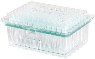 Striving for a Greener Tomorrow