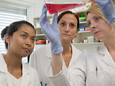 New Medium to Boost and Optimise the Production of AAV in Sf9 Insect Cells Announced