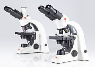 Goliath versus David - A fight with TWO winners?!