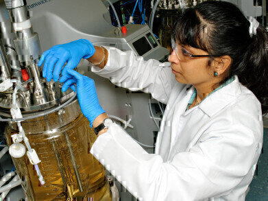 New Media and Feeds Maximise Yield and Batch-to-Batch Consistency to Support Recombinant Protein Production Scale-Up