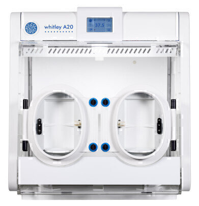 A Small Workstation with Big Ideas